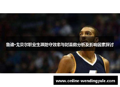 鲁迪·戈贝尔职业生涯防守效率与封盖数分析及影响因素探讨