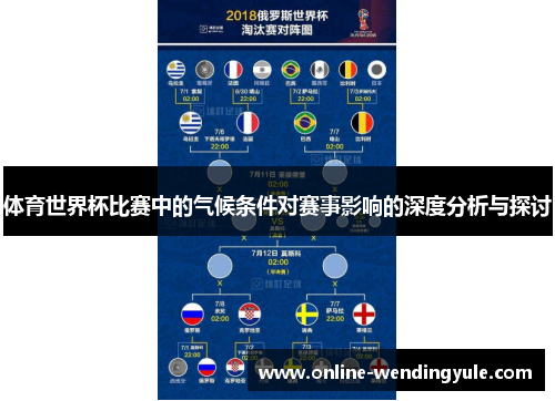 体育世界杯比赛中的气候条件对赛事影响的深度分析与探讨