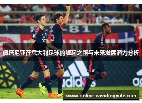 佩塔尼亚在意大利足球的崛起之路与未来发展潜力分析