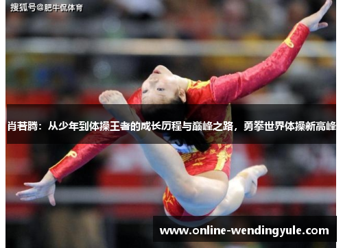 肖若腾：从少年到体操王者的成长历程与巅峰之路，勇攀世界体操新高峰