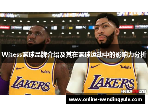 Witess篮球品牌介绍及其在篮球运动中的影响力分析 Witess篮球品牌介绍及其在篮球运动中的影响力分析