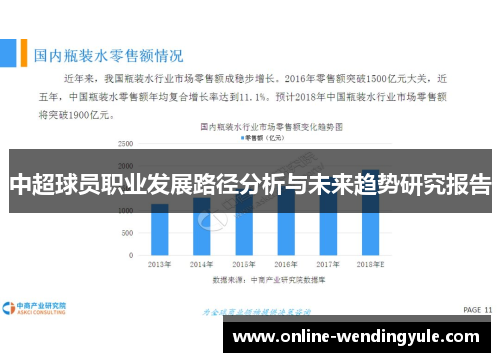 中超球员职业发展路径分析与未来趋势研究报告 中超球员职业发展路径分析与未来趋势研究报告