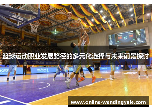 篮球运动职业发展路径的多元化选择与未来前景探讨