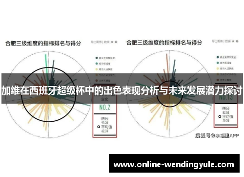 加维在西班牙超级杯中的出色表现分析与未来发展潜力探讨