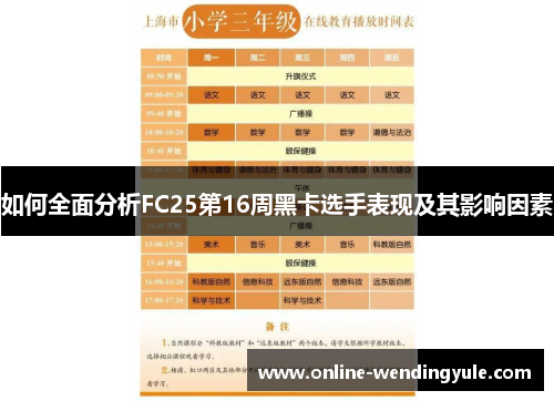 如何全面分析FC25第16周黑卡选手表现及其影响因素