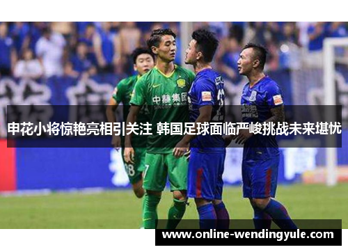 申花小将惊艳亮相引关注 韩国足球面临严峻挑战未来堪忧
