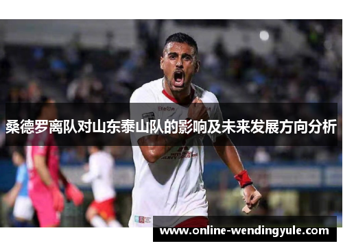 桑德罗离队对山东泰山队的影响及未来发展方向分析 桑德罗离队对山东泰山队的影响及未来发展方向分析