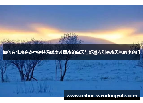 如何在北京寒冬中保持温暖度过最冷的白天与舒适应对寒冷天气的小窍门