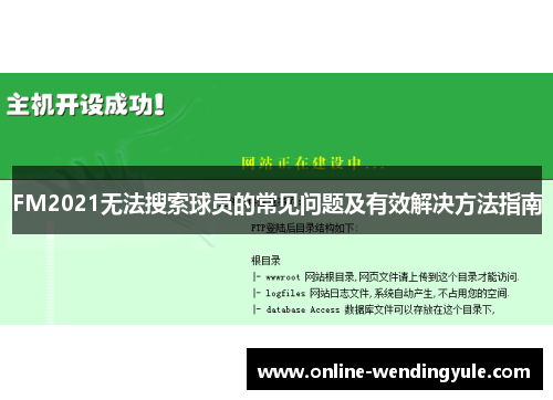 FM2021无法搜索球员的常见问题及有效解决方法指南