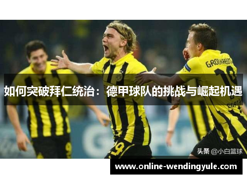 如何突破拜仁统治：德甲球队的挑战与崛起机遇